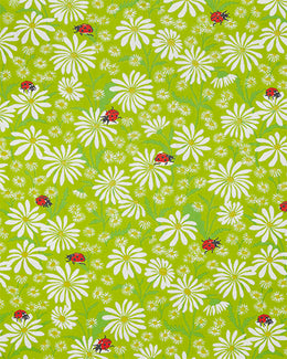 Lucky Daisy - Lime Twist