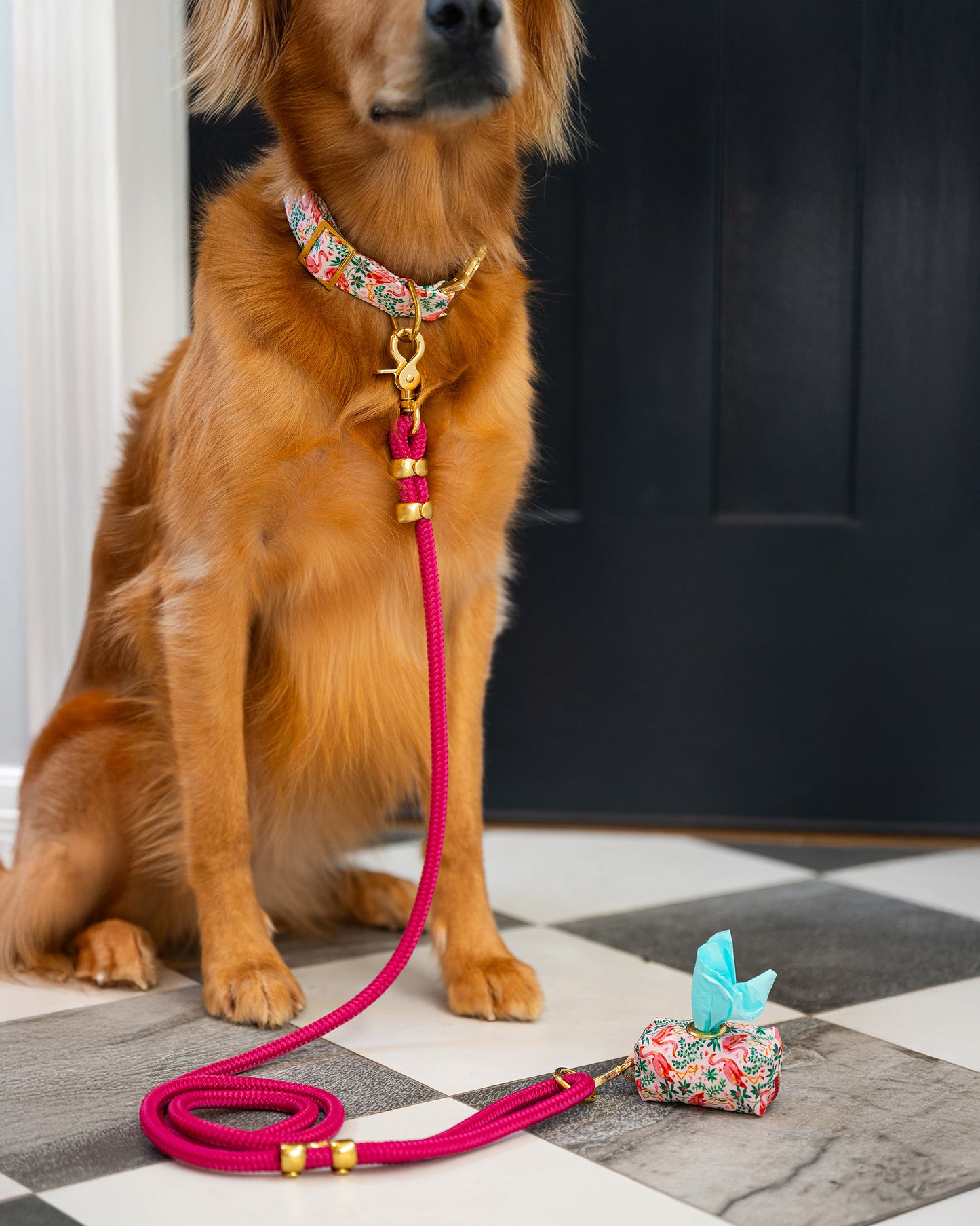 PF x The Foggy Dog - Marine Rope Dog Leash - Hot Pink - Printfresh