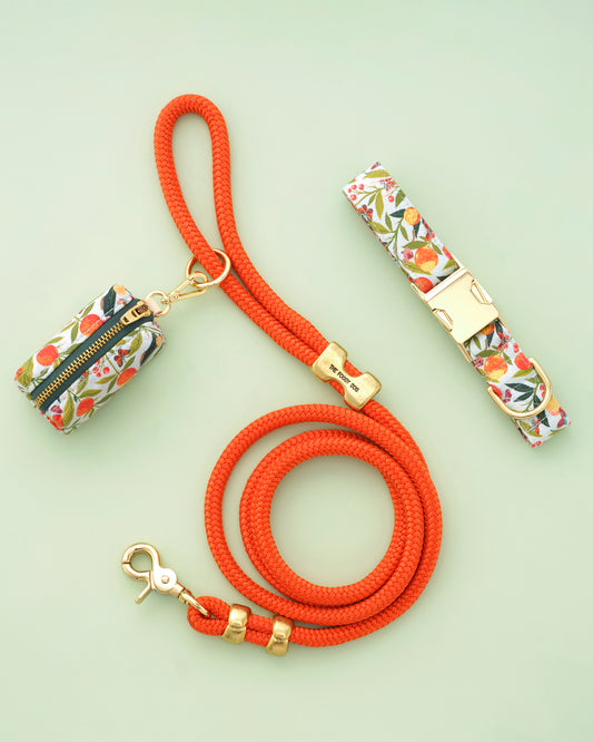 PF x The Foggy Dog Butterfly Grove - Walk Set Bundle - Multi - Printfresh